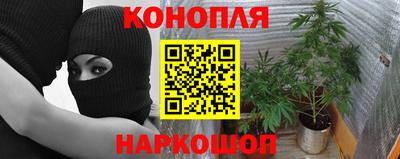 амф Боровичи