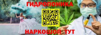 мяу мяу мука Брянск
