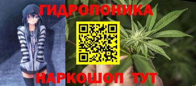 амф Боровичи