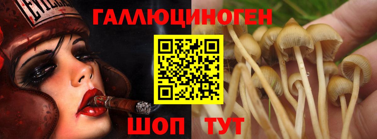 Псилоцибиновые грибы Psilocybine cubensis  Вход с VPN  Знаменск 